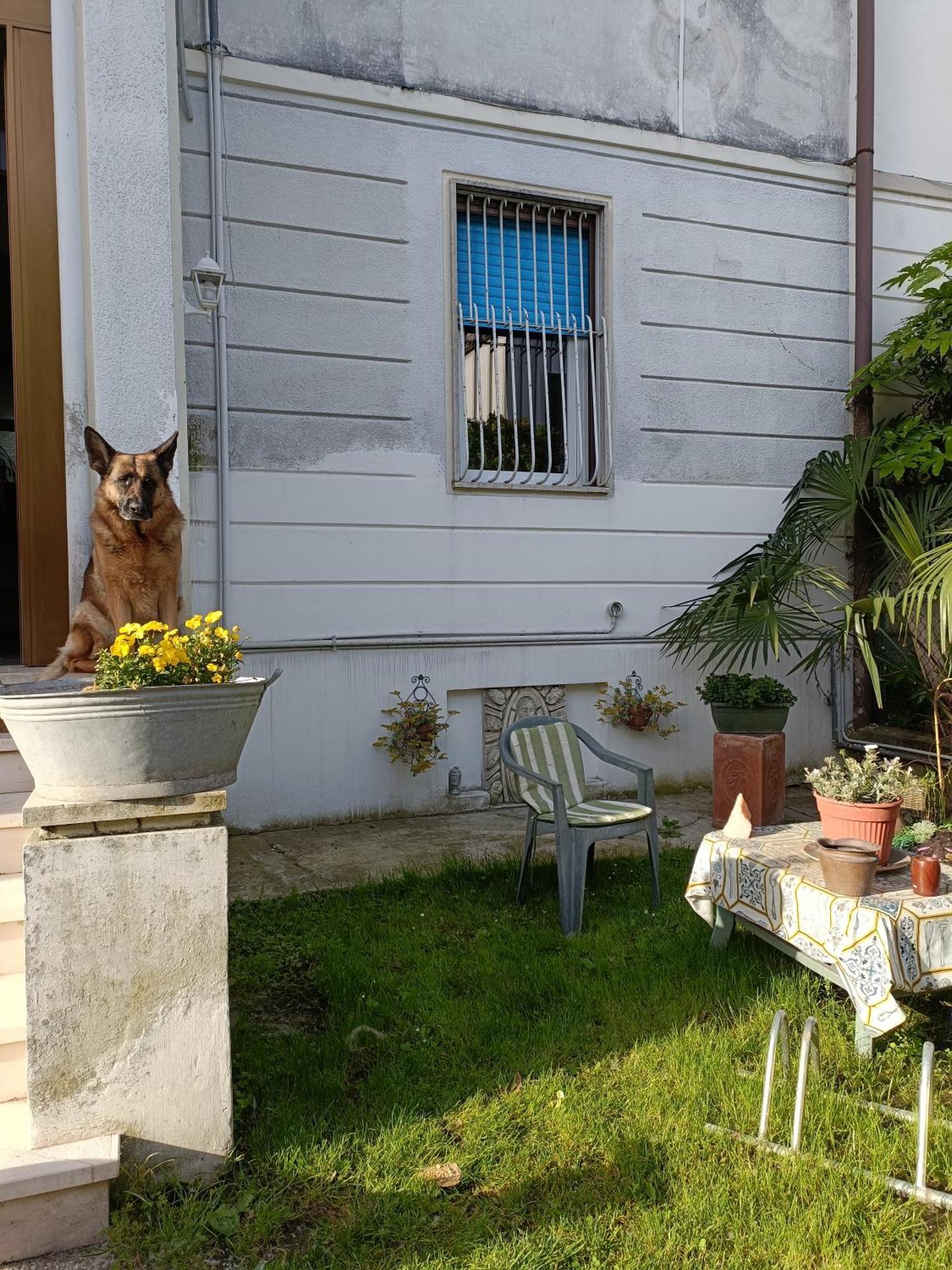 Chez Mavipagi B&B Verona Kültér fotó