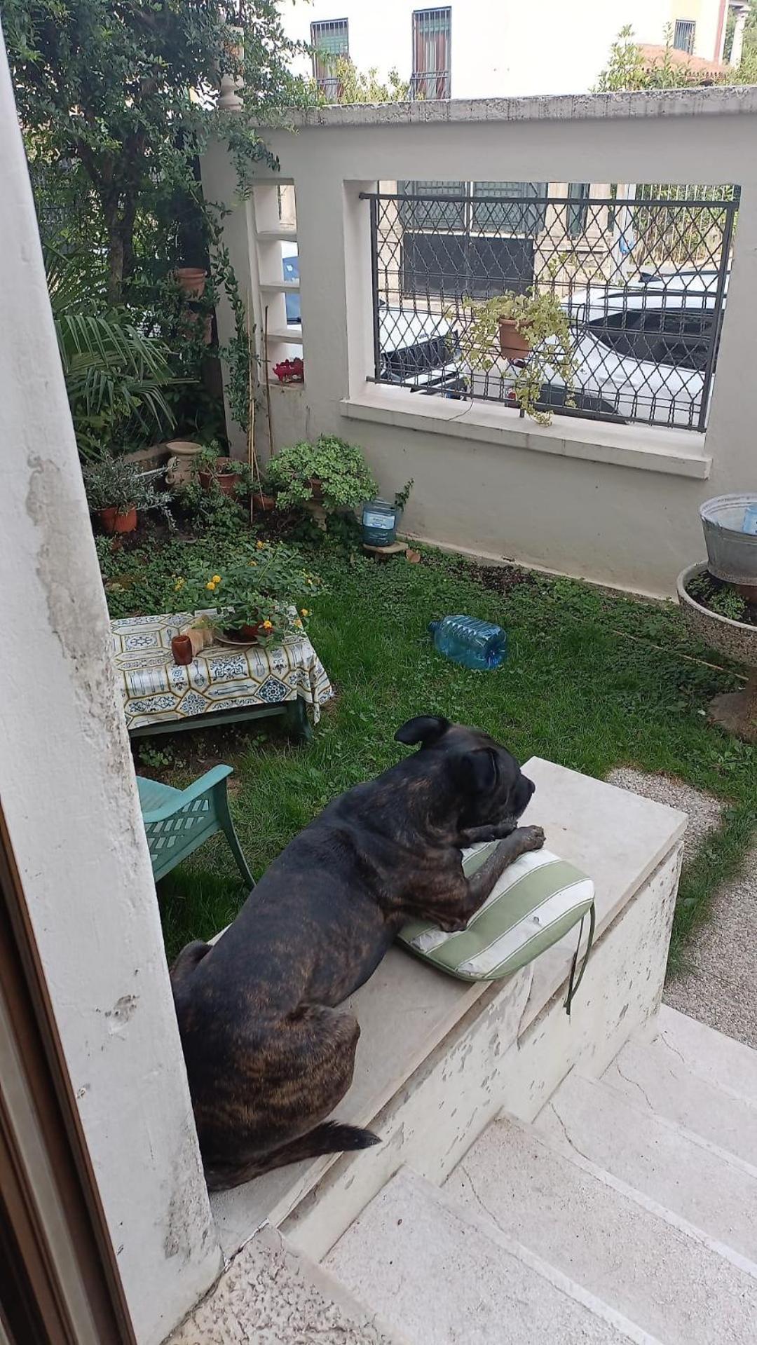 Chez Mavipagi B&B Verona Kültér fotó